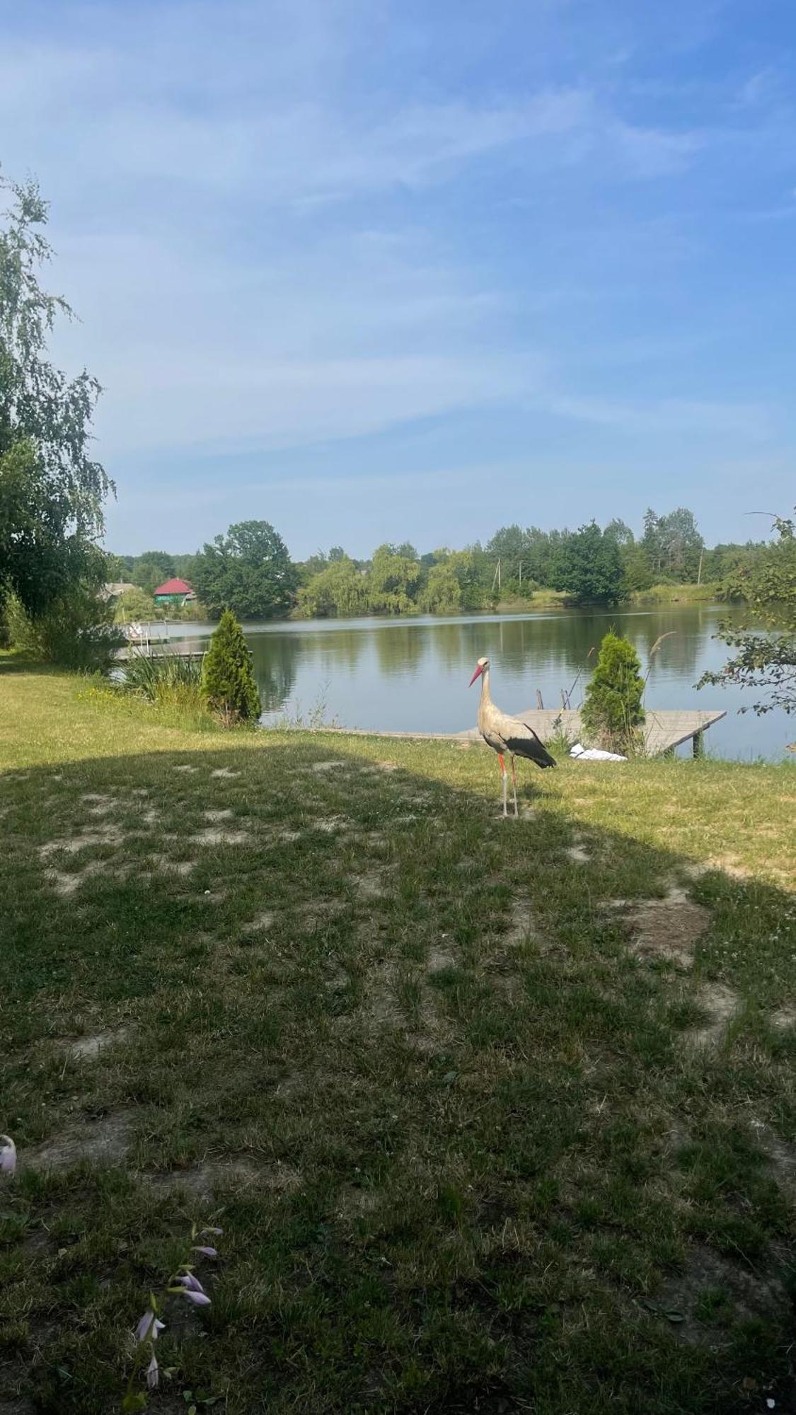 Перлина Буковини Lipovans Extérieur photo